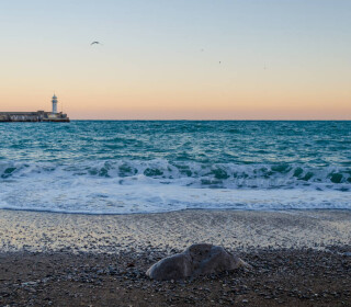 Куда поехать на море летом