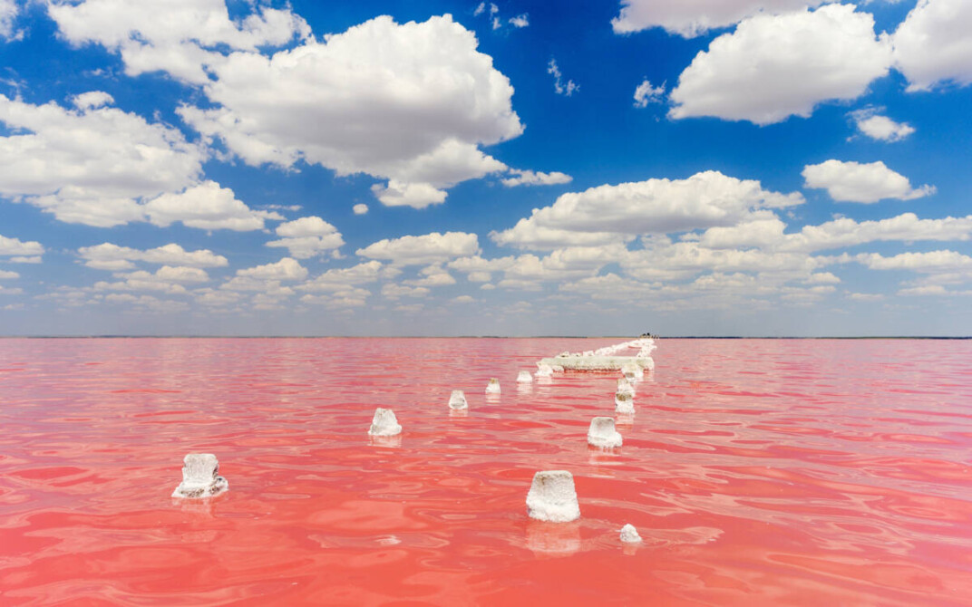 Розовое озеро в Крыму