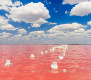 Розовое озеро в Крыму