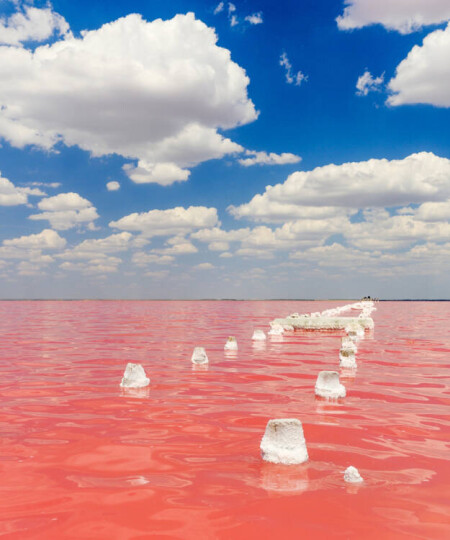 Розовое озеро – Евпатория