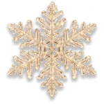program_image