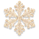 program_image