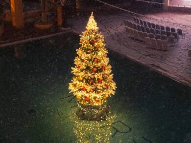 Новогодние каникулы в MORE SPA & RESORT!