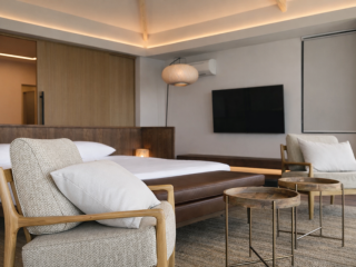 Панорамный люкс