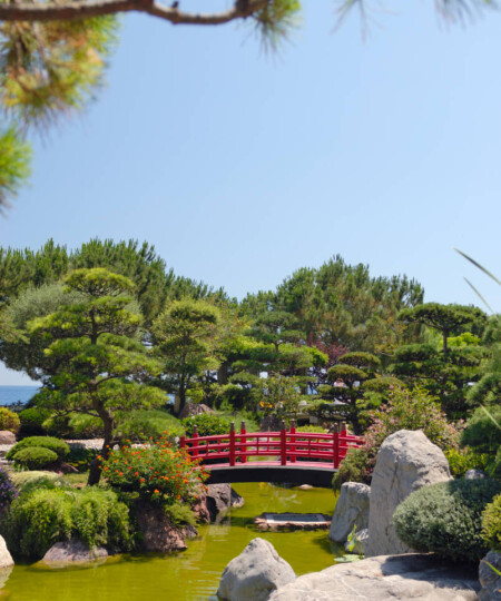 Японский сад “6 чувств”