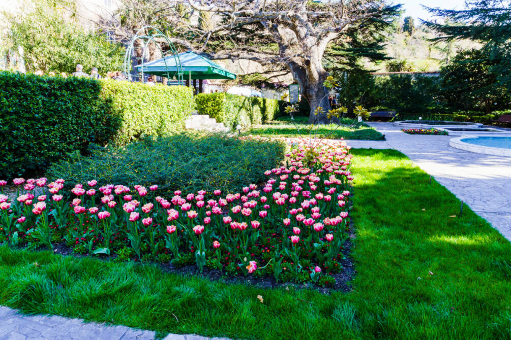 Никитский ботанический сад