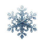 program_image