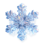 program_image