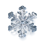 program_image